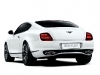 bentley_continental_supersports_image_001_big.jpg