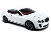 bentley_continental_supersports_image_004_big.jpg