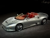 spyker_aileron_spyder_big.jpg